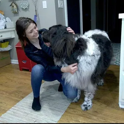 Reba’s dog spa