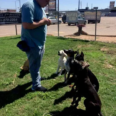 Ruff Tales