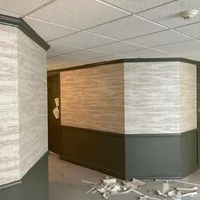 Jalisco painting & wall cover