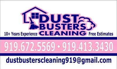 Dust Busters Pro Cleaning