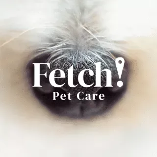 Fetch! Pet Care W. Raleigh-Sanford NC