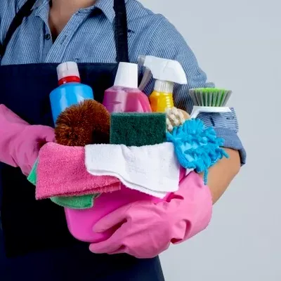professional house cleaning