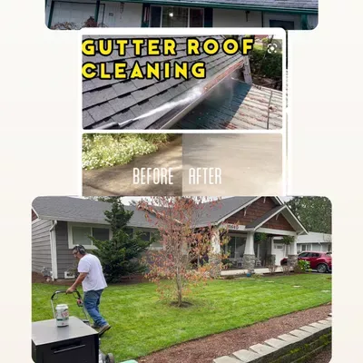 Blooming Garden Landscape