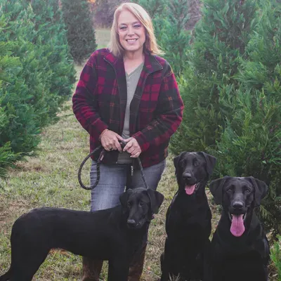 Southern Belle Retrievers
