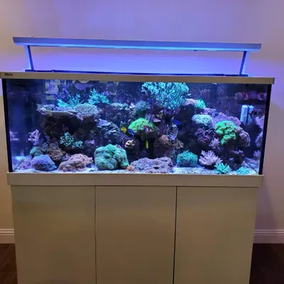 The Pro Reefer
