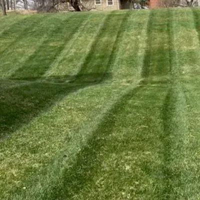 Morales lawn care