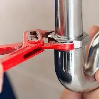 Perry the Plumber