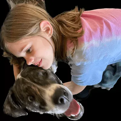 Reactive K9 Academy