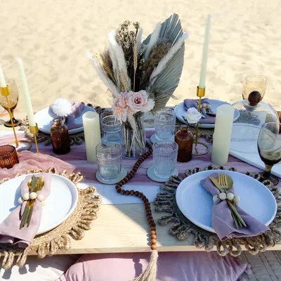Picnic Joy & Co