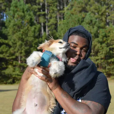 Everyday Dog Training