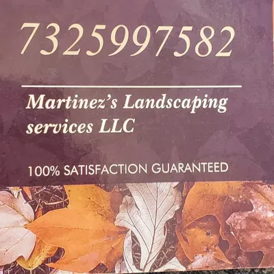 MARTINEZ'S LANDSCAPING SERVICES LLC