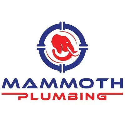Mammoth plumbing
