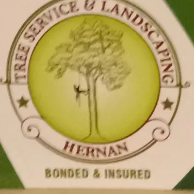 Hernans Tree Service And Landscaping