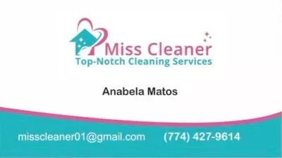 Miss Cleaner Corp