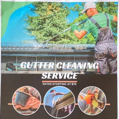Davis Gutter & Pressure Washing