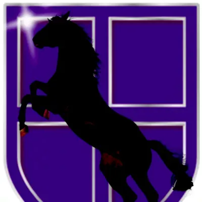Royal Knight Security