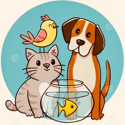 DNKS Pet Service