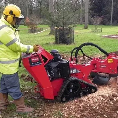 805 Stump Grinding & Debris Cleanup