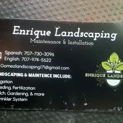 Enrique Landscaping and installation