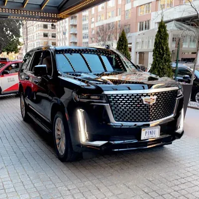 Potomac Limousine Services LLC