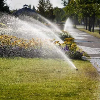 Northern Colorado Irrigation