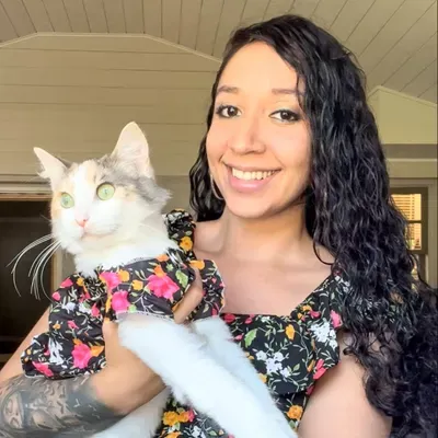 Mama Gatuna Cat Sitting
