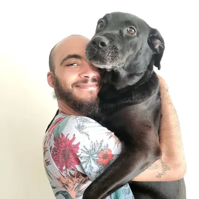 Halls Walk Dogs