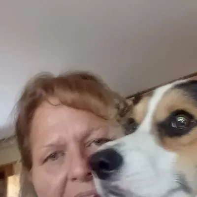Debs Happy Pups- Doggy Care