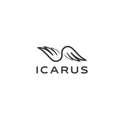 Icarus Photography