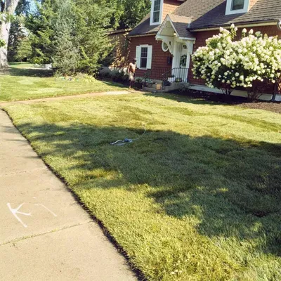 Sod Done Right Llc