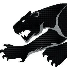 Panthera Technologies Inc