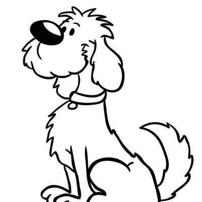 Unofficial Walnut Pet Services