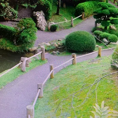 L&C landscaping
