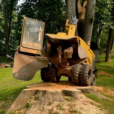 Professional Stump Removal LLC