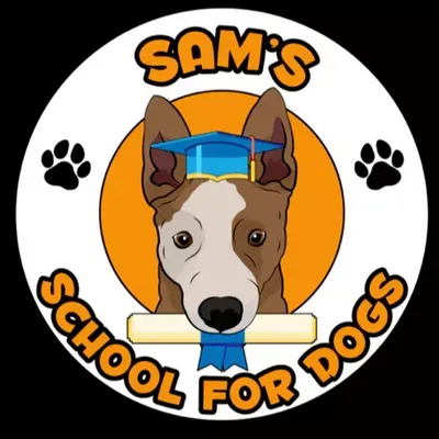 Sams School For Dogs
