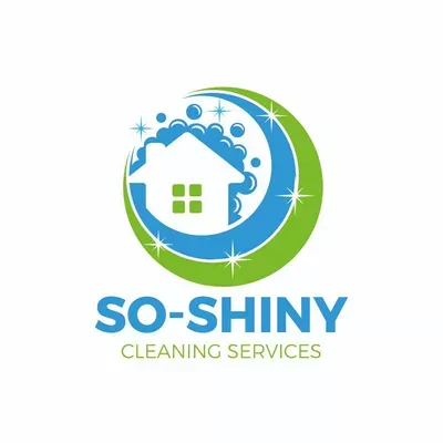 So-Shiny  Lemus cleaning services