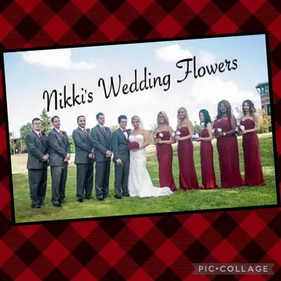 Wyld Creations