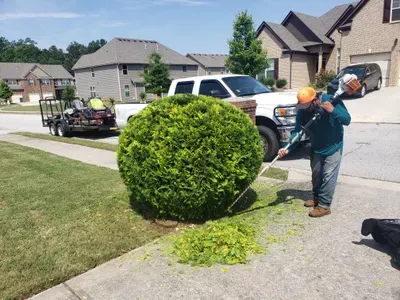 Jose Landscaping