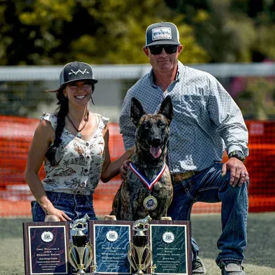 Westberg Working Dogs