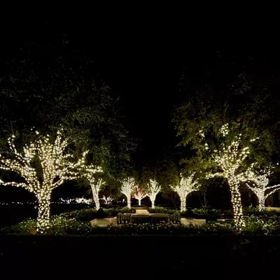 Northwest Holiday lighting