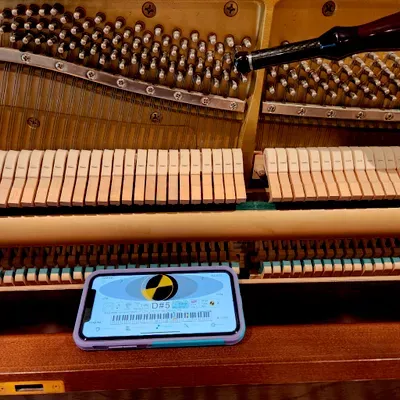 3rd Generation Piano Service