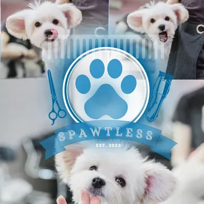Spawtless LA