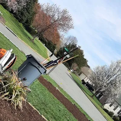 Primos's tree service and landscaping