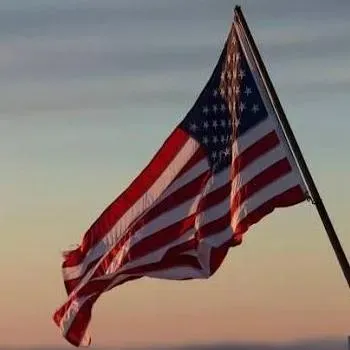 Patriot Stump & Land Services