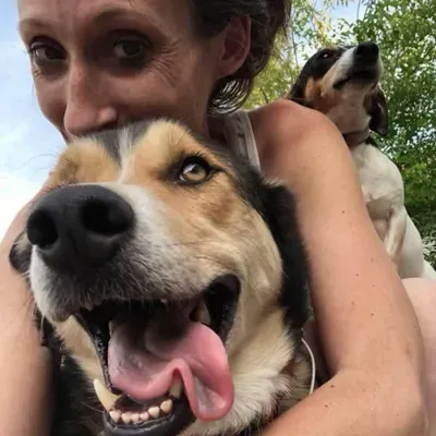 All For Your Pets
