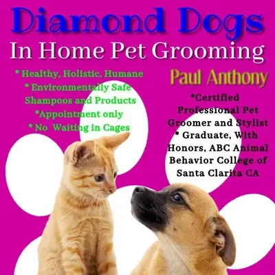 Diamond Dogs Pet Grooming & Styles