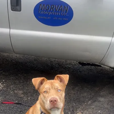 Morvan Enterprises LLC