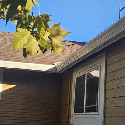 Barba Gutters