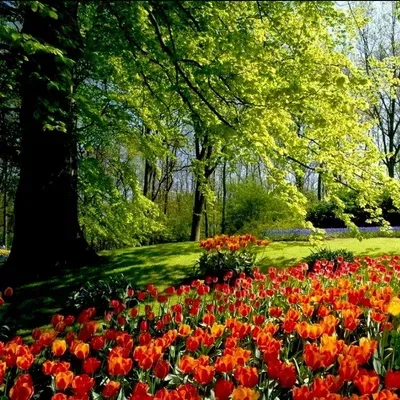 J and M Family Landscaping LLC