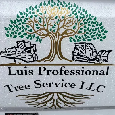 Luis professional tree service LLc